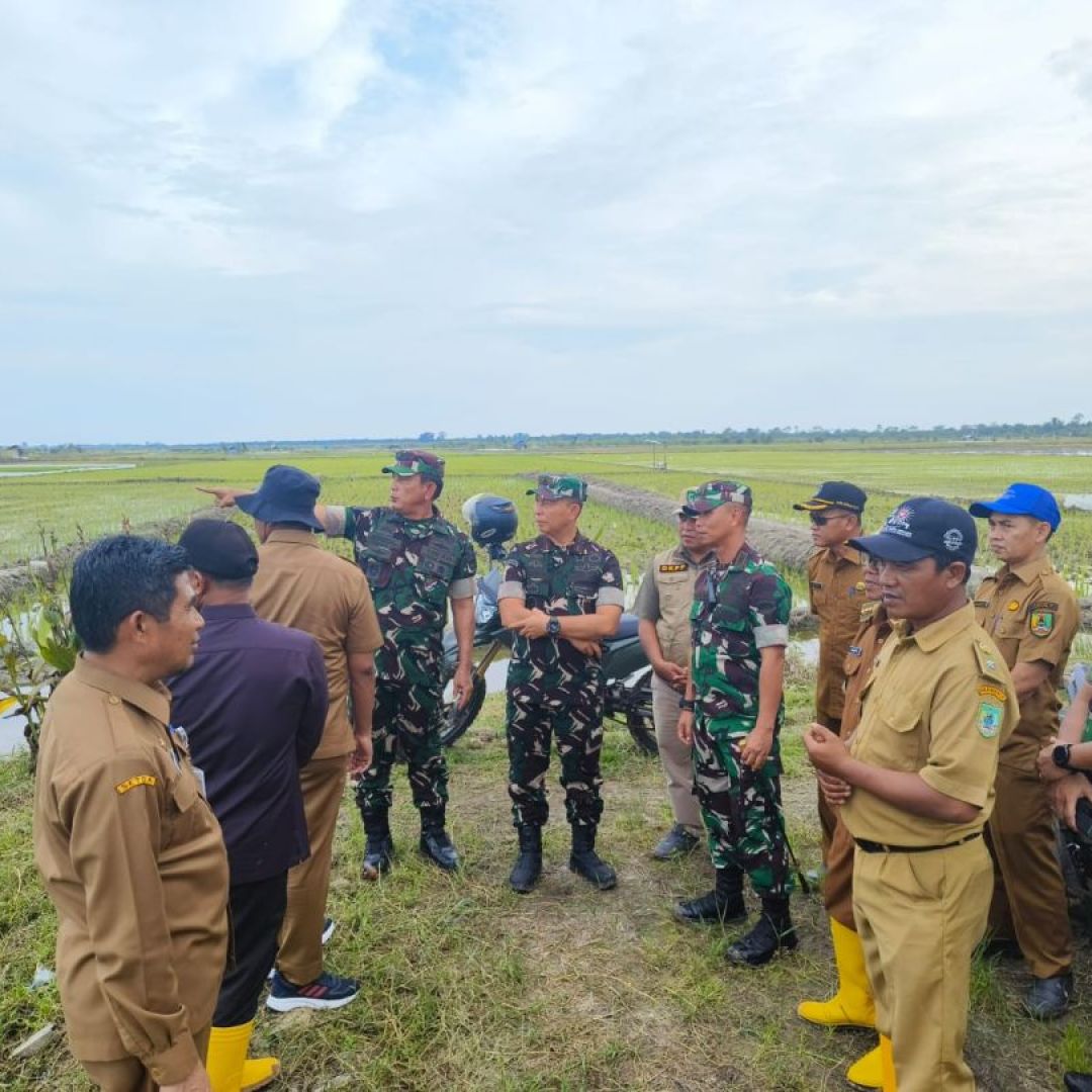 Danrem 031/WB Bersama Kasdam l/BB Tinjau Lokasi Lahan Ketahanan Pangan di Pekaitan.