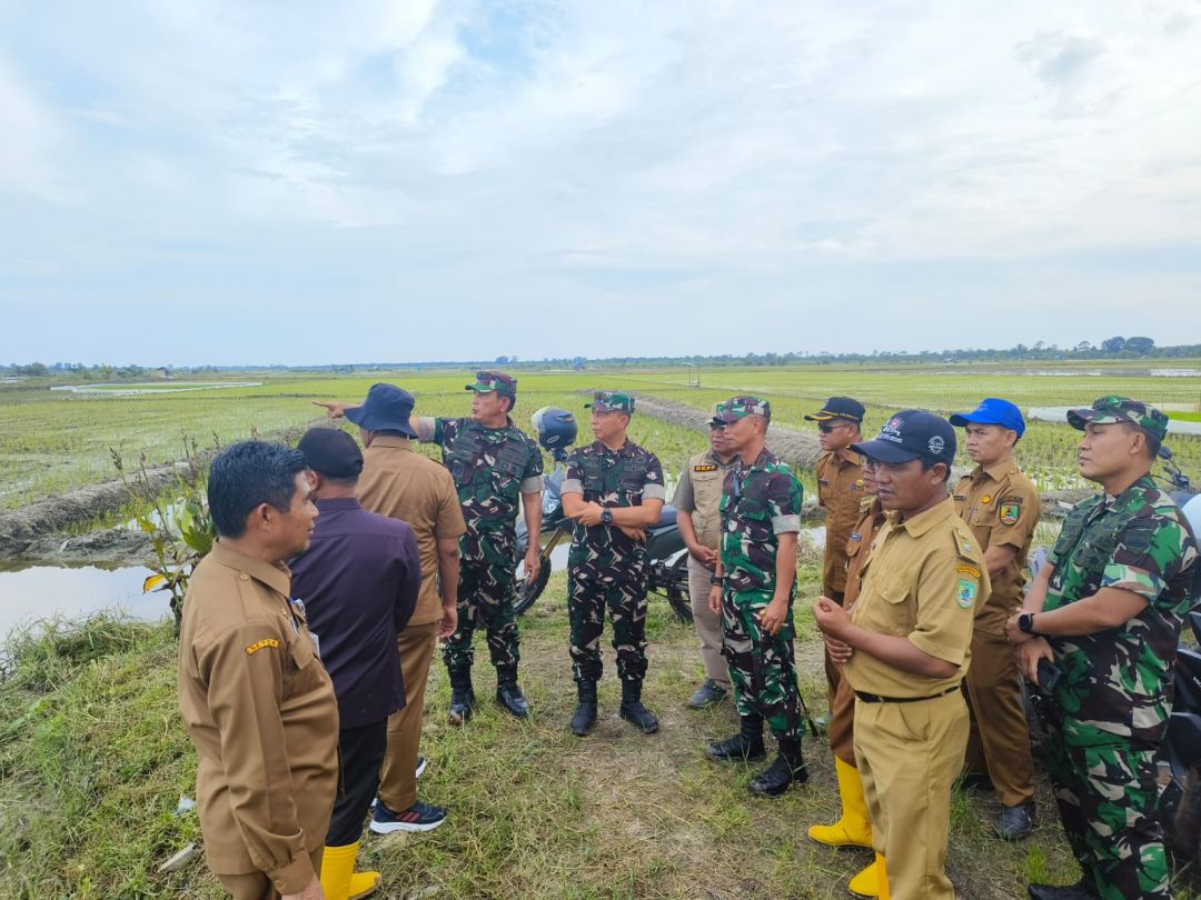 Danrem 031/WB Bersama Kasdam l/BB Tinjau Lokasi Lahan Ketahanan Pangan di Pekaitan.